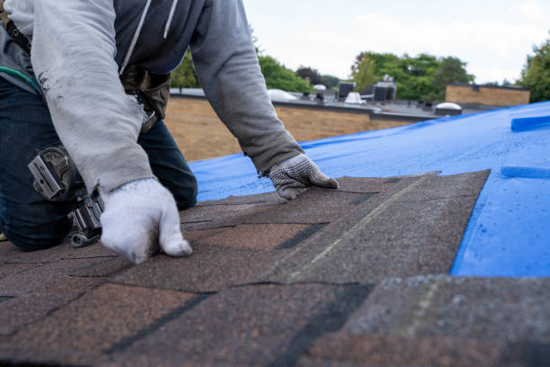 Trusted Arnaudville, LA Roofing Contractor Experts