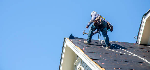 Best Gutter Installation and Roofing  in Arnaudville, LA